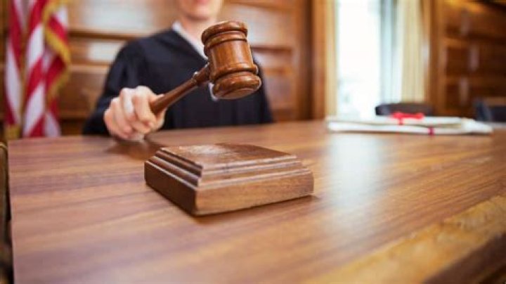 What is an adjudication hearing in juvenile court?