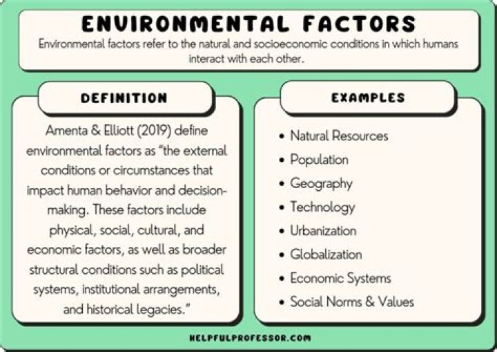 What is an environmental variable in psychology?