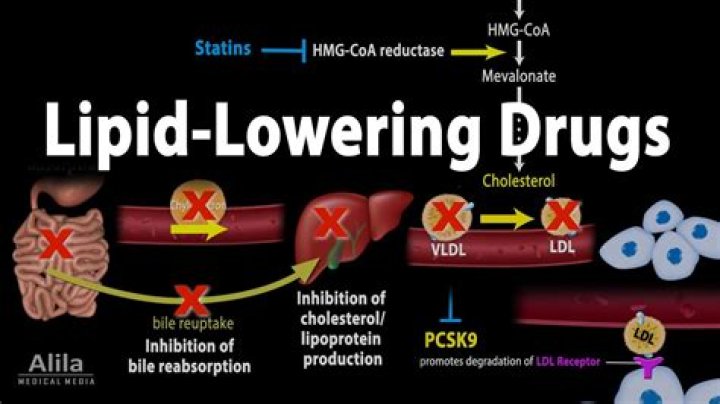 What is an example of a lipid lowering drug?