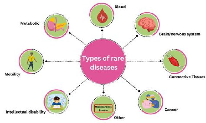What is an example of a rare disease?