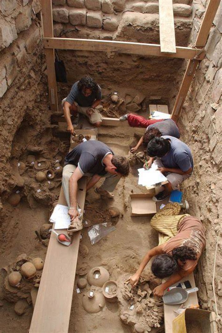What is archaeology brief?