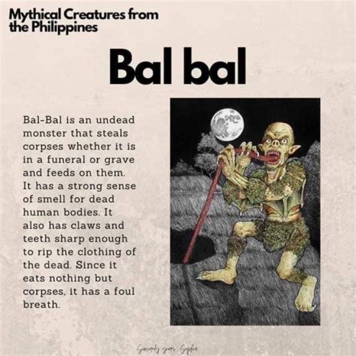 What is Bal Gurukul?