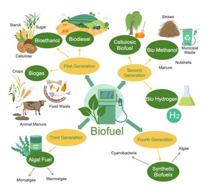 What is bio fuels energy?