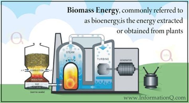 What is bioenergy and biomass?