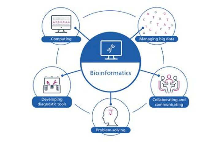 What is bioinformatics approach?