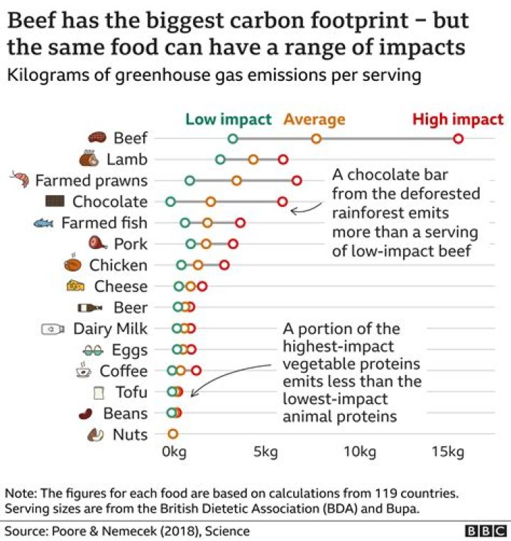 What is carbon footprint food?
