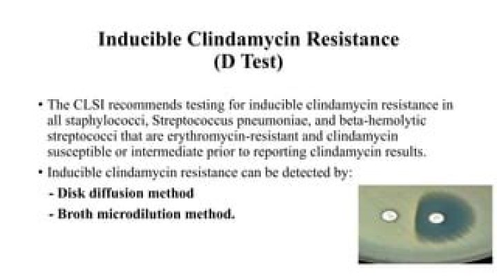 What is clindamycin inducible resistance?