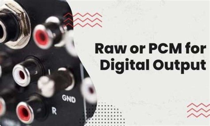 What is digital audio output PCM or raw?