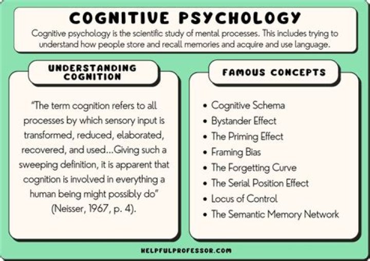 What is domain-general in cognitive psychology?