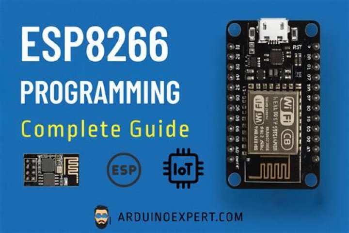 What is ESP programming?