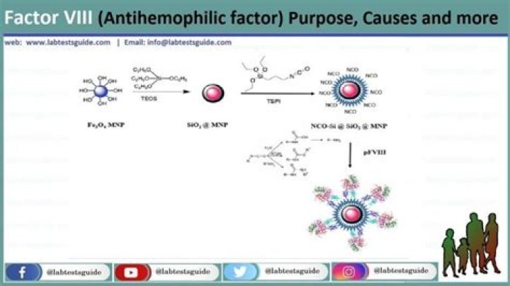 What Is Factor VIII related antigen?