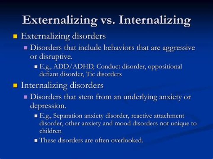 What is internalizing and externalizing disorders?