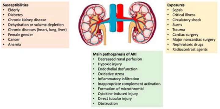 What is ischemic nephrosclerosis?