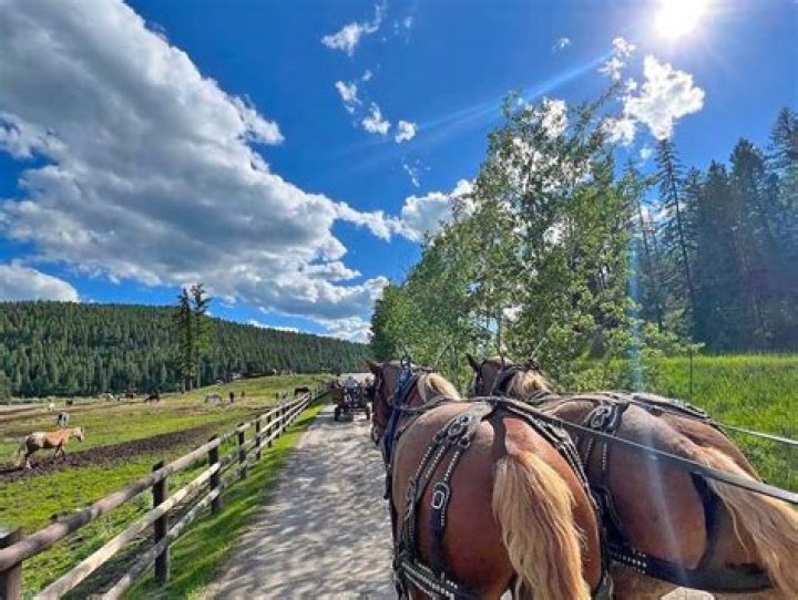 What is it like working on a dude ranch?