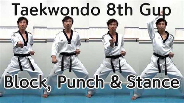 What is kibon in Taekwondo?