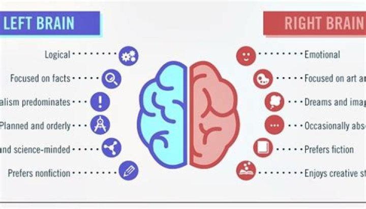 What Is Left brain Right Brain Theory?