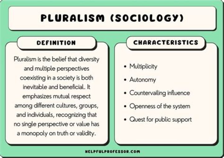What is meant by pluralistic society?