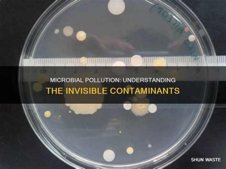 What is microbial pollution?