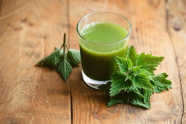 What is nettle juice good for?