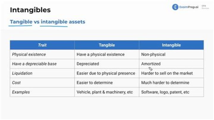What is other intangible?