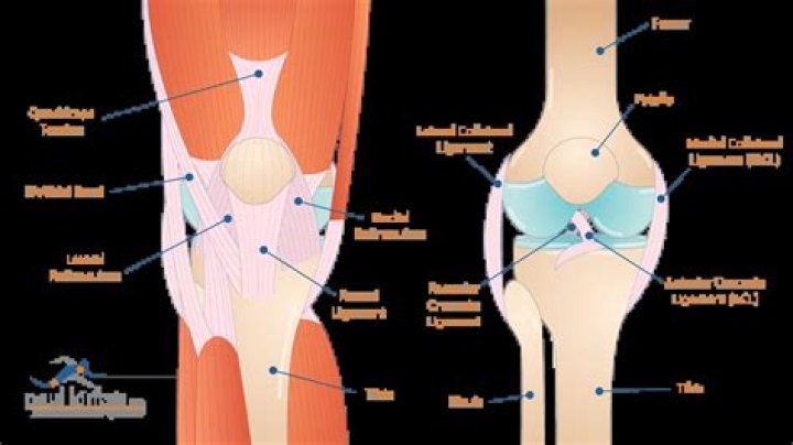 What is patellar debridement?