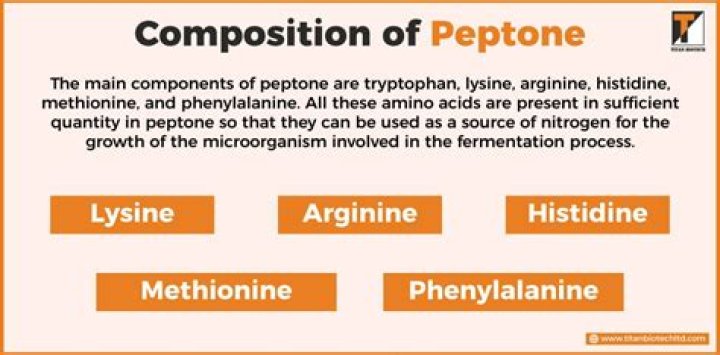 What is peptone and explain it?