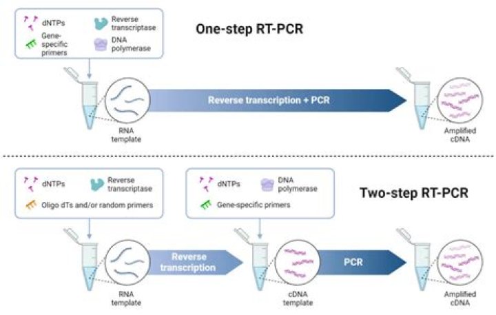 What is random PCR?
