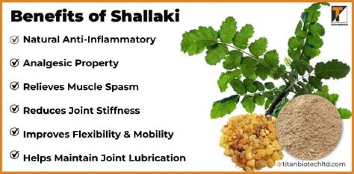 What is shallaki good for?