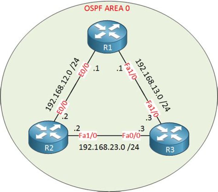 What is single area OSPF?