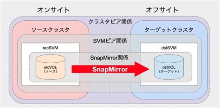 What is snap mirror in NetApp?