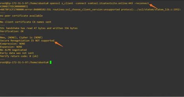 What is SSL server-initiated key renegotiation detected?