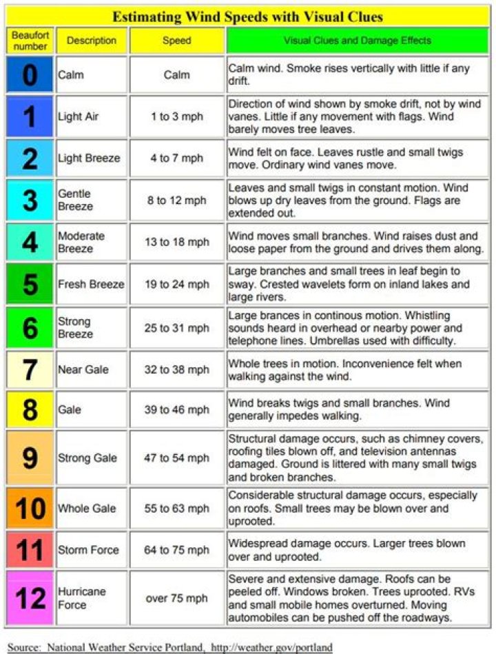 What is strong wind km h?