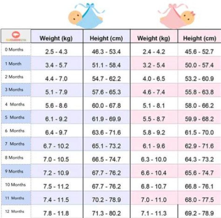 What is the average size of a healthy newborn baby?
