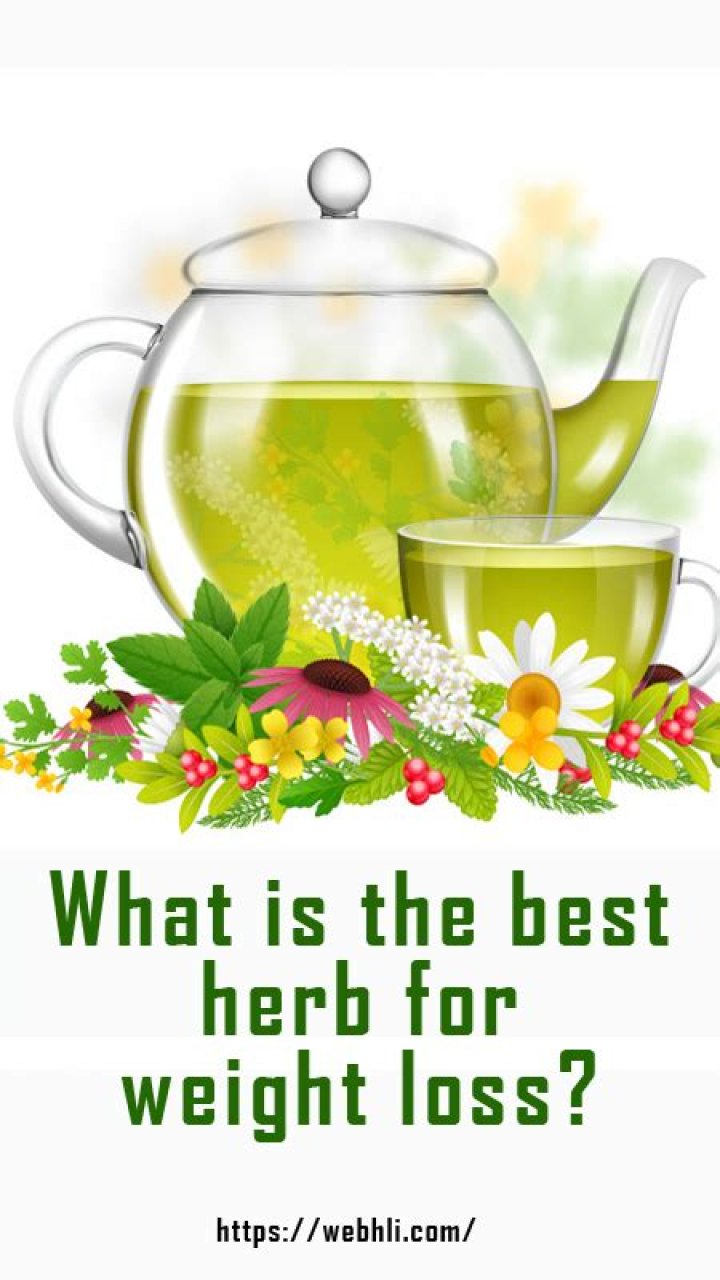 What is the best herb for weight loss?