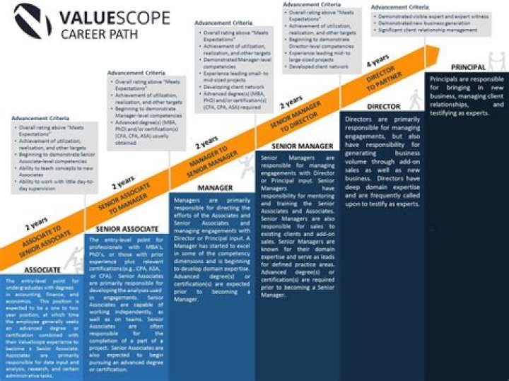 What is the career path for an editor?