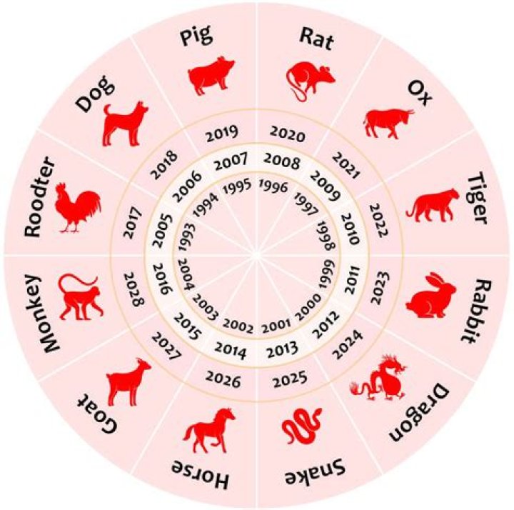 What is the Chinese zodiac for January 1993?