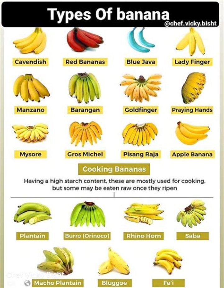 What is the cluster of bananas called?