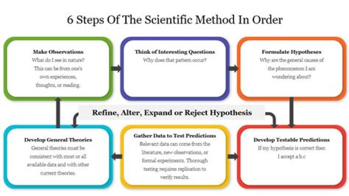 What is the correct order of test in the scientific method?