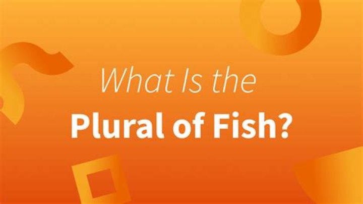 What is the correct plural of fish?