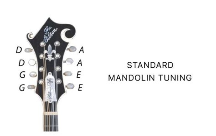 What is the correct tuning for a mandolin?