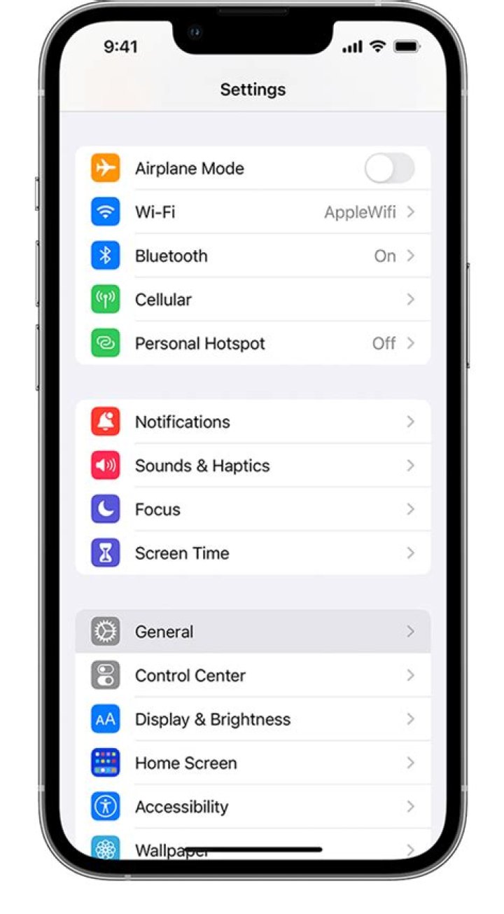 What is the dictionary setting on iPhone?