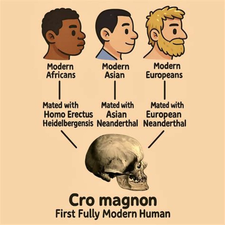 What is the difference between Cro-Magnon and modern man?