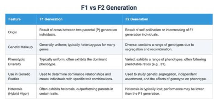 What is the difference between F1 and F2 generations?