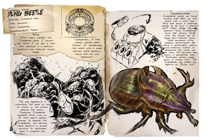 What is the dung beetle good for Ark?