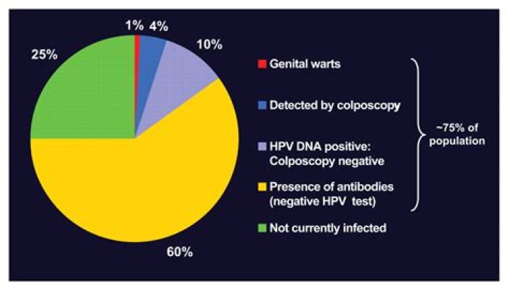 What is the epidemiology of HPV?