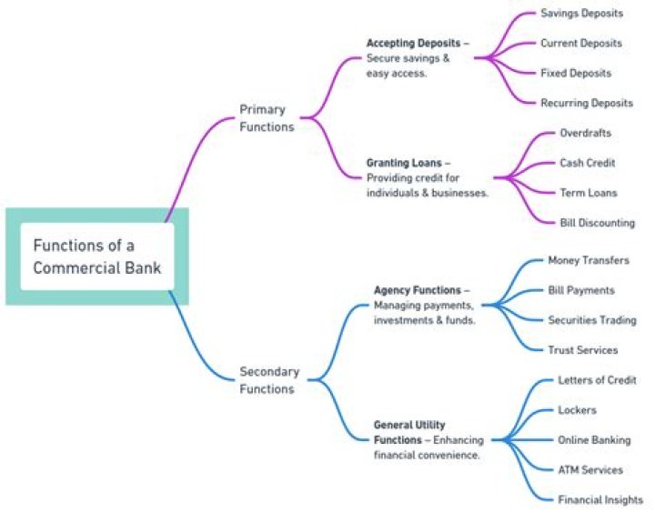 What is the function of commercial bank?