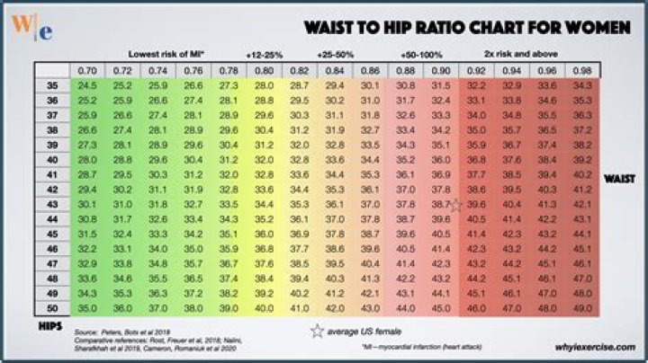 What is the ideal ratio waist to hips?