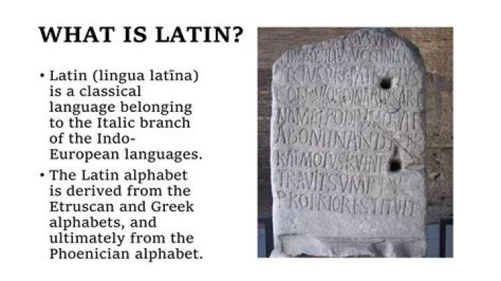 What is the Latin for education?