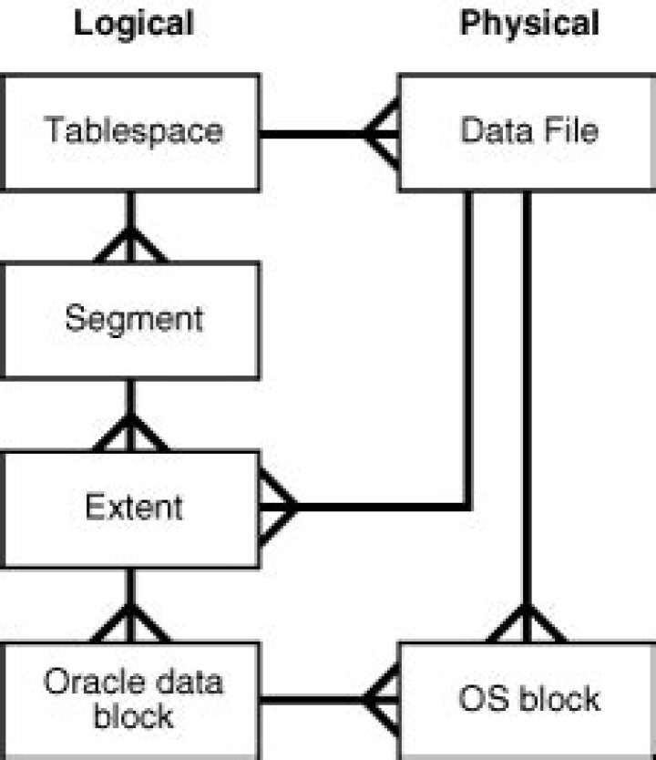 What is the logical structure of an Oracle database?