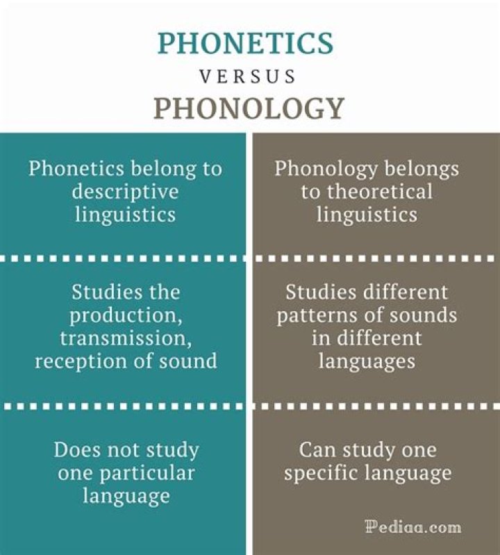 What is the main difference between phonetics and phonology?